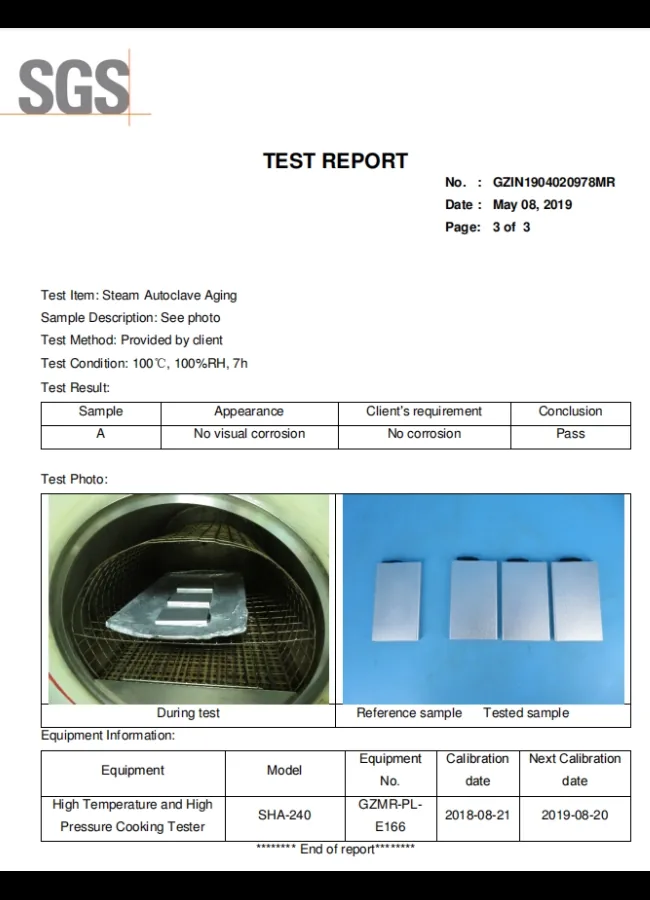 SGS steam autoclave aging test detail